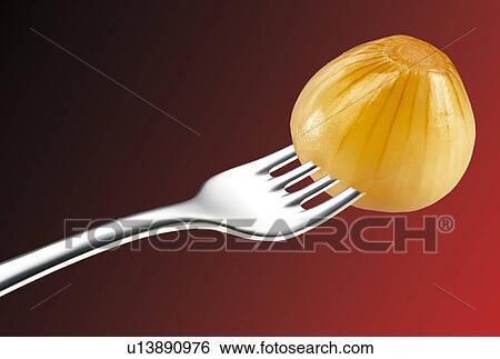 Stock Photograph - Pickled Onion on Fork - Non Exclusive. Fotosearch