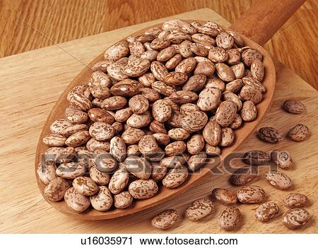 Stock Image - Pinto Beans. Fotosearch