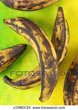 Picture - Plantain - Non Exclusive. Fotosearch