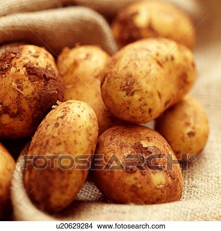 Potatoes View Large Photo Image Picture - Potatoes. Fotosearch