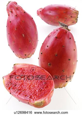 Prickly Pear / Cactus Pear View Large Photo Image Stock Photograph - Prickly Pear / Cactus Pear. Fotosearch