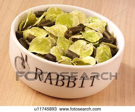 Stock Image - Rabbit Food - Non Exclusive. Fotosearch