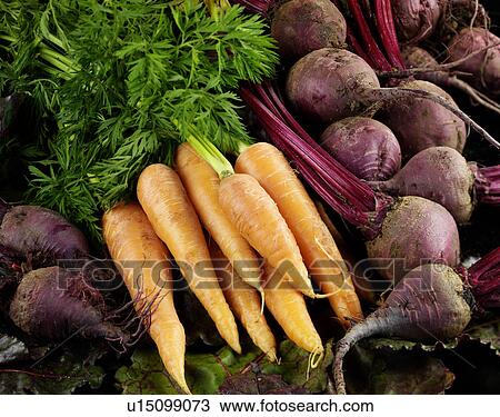 Raw Carrots And Beetroot - Non Exclusive View Large Photo Image Stock Image - Raw Carrots And Beetroot - Non Exclusive. Fotosearch