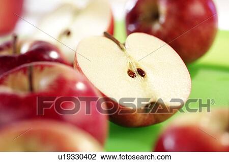 red eating apples View Large Photo Image Stock Image - red eating apples. Fotosearch