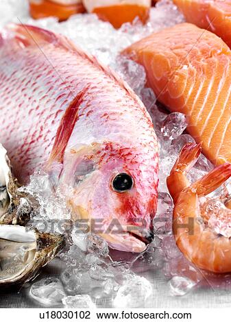 Red Snapper Fish - Non Exclusive View Large Photo Image Stock Image - Red Snapper Fish - Non Exclusive. Fotosearch