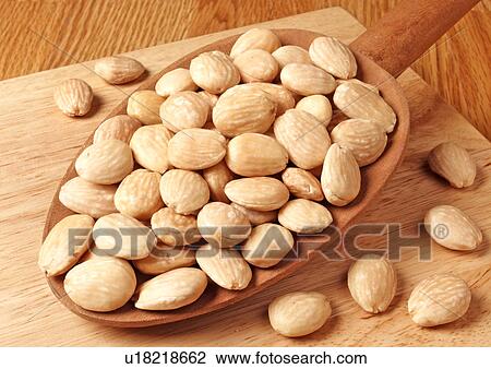 Roasted Marcona Almonds View Large Photo Image Stock Image - Roasted Marcona Almonds. Fotosearch