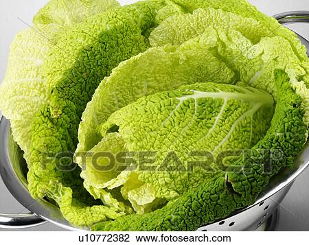 Stock Image - Savoy Cabbage Leaves In Colander. Fotosearch