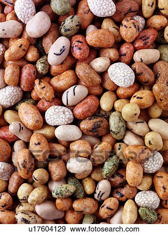 Stock Photo - Seaweed Peanuts - Non Exclusive. Fotosearch