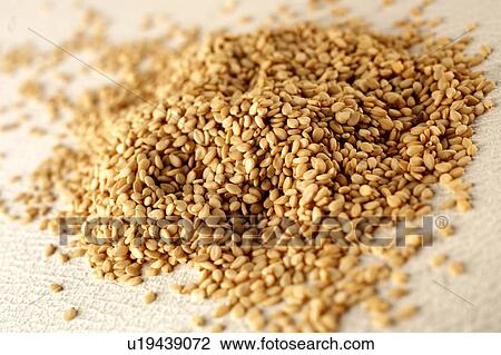 Sesame seeds View Large Photo Image Stock Image - Sesame seeds. Fotosearch