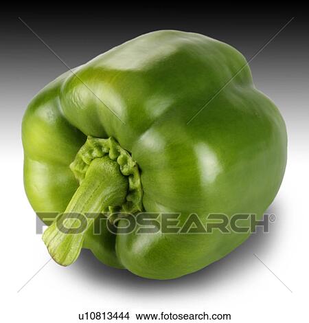 Single green pepper View Large Photo Image Picture - Single green pepper. Fotosearch