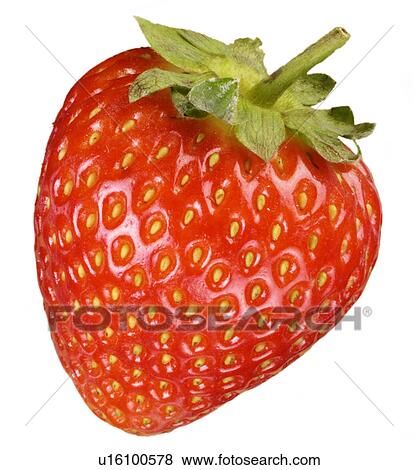 Stock Photo - Single Strawberry on White - Non Exclusive. Fotosearch