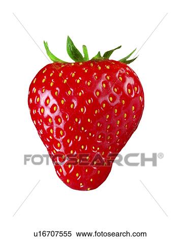 Single strawberry on white View Large Photo Image Stock Photography - Single strawberry on white. Fotosearch