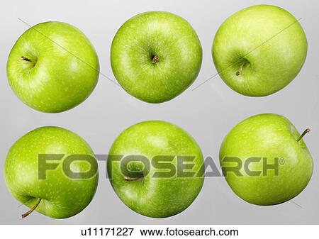 Six Green Apples - Non Exclusive View Large Photo Image Stock Photo - Six Green Apples - Non Exclusive. Fotosearch