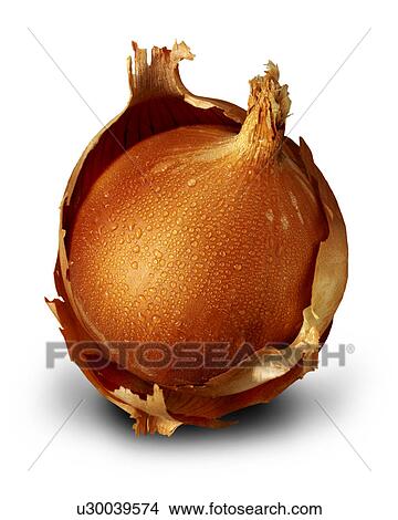 Spanish onion View Large Photo Image Picture - Spanish onion. Fotosearch