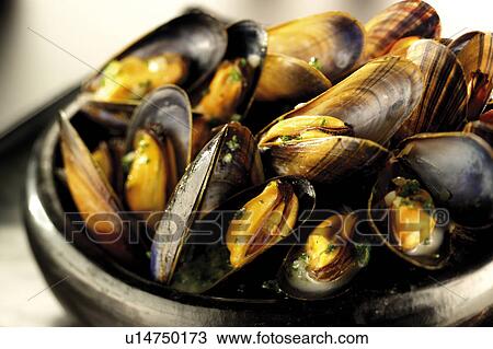 Steamed Mussels - Non Exclusive View Large Photo Image Stock Image - Steamed Mussels - Non Exclusive. Fotosearch