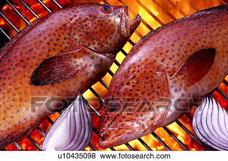 Strawberry grapefish barbecue View Large Photo Image Stock Photo - Strawberry grapefish barbecue. Fotosearch