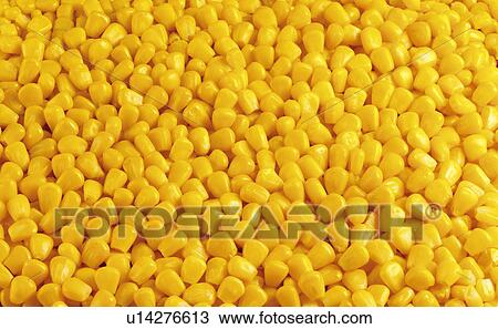 Stock Image - Sweet Corn Kernels - Non Exclusive. Fotosearch