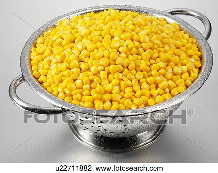 Sweetcorn In Colander View Large Photo Image Stock Image - Sweetcorn In Colander. Fotosearch