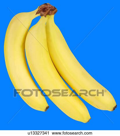 Stock Image - Three Bananas on Blue - Non Exclusive. Fotosearch