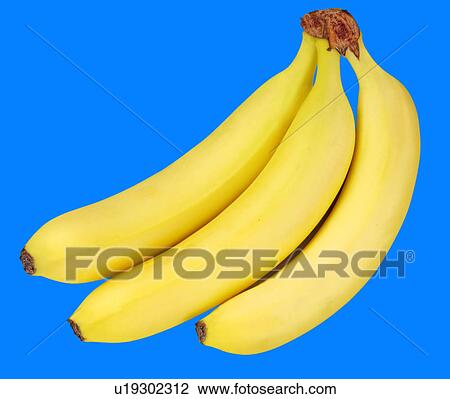 Three Bananas on Blue - Non Exclusive View Large Photo Image Stock Image - Three Bananas on Blue - Non Exclusive. Fotosearch