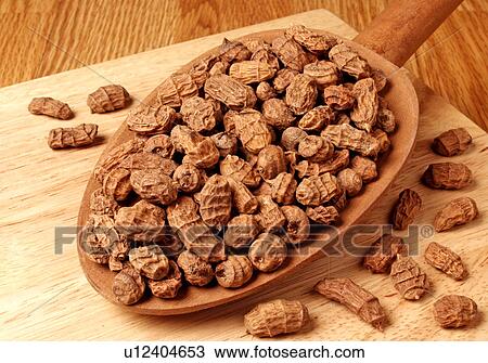 Stock Image - Tiger Nuts. Fotosearch