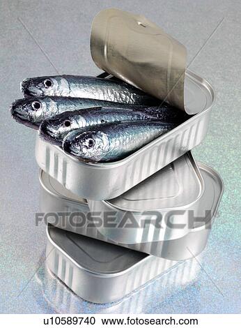 Tins of Sardines - Non Exclusive View Large Photo Image Stock Image - Tins of Sardines - Non Exclusive. Fotosearch