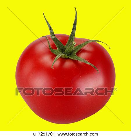 Tomato on yellow View Large Photo Image Stock Image - Tomato on yellow. Fotosearch