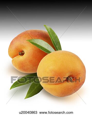 Stock Image - Two apricots on graduated. Fotosearch