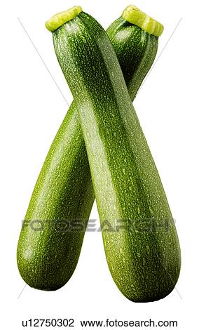 Two Courgettes Zucchini - Non Exclusive View Large Photo Image Stock Image - Two Courgettes Zucchini - Non Exclusive. Fotosearch