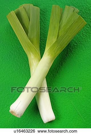 Two Leeks on Green - Non Exclusive View Large Photo Image Stock Photograph - Two Leeks on Green - Non Exclusive. Fotosearch
