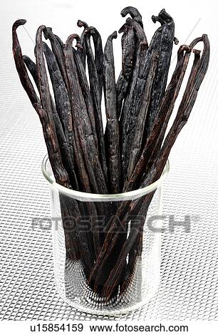 Stock Photo - Vanilla Pods - Non Exclusive. Fotosearch