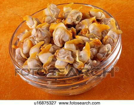 Welsh Cockles - Non Exclusive View Large Photo Image Stock Photo - Welsh Cockles - Non Exclusive. Fotosearch