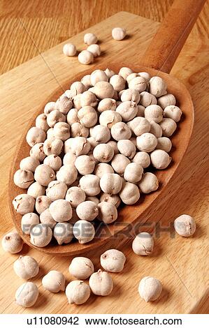 White Chickpeas View Large Photo Image Stock Image - White Chickpeas. Fotosearch