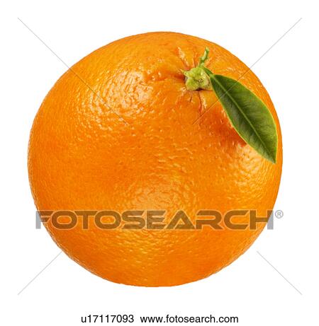 Stock Image - Whole orange. Fotosearch