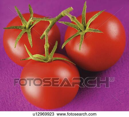 Whole Tomatoes - Non Exclusive View Large Photo Image Stock Image - Whole Tomatoes - Non Exclusive. Fotosearch