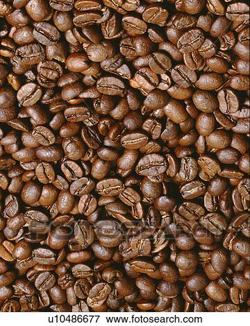 Stock Photo - Coffee beans. Fotosearch