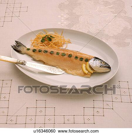 Fish View Large Photo Image Stock Image - Fish. Fotosearch