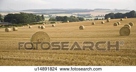 Harvest View Large Photo Image Picture - Harvest. Fotosearch