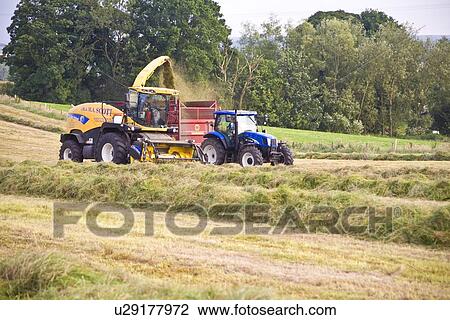 Stock Image - Harvest. Fotosearch