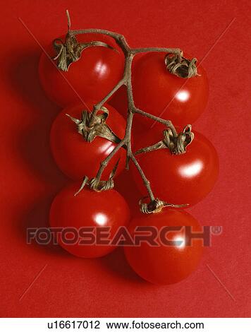 Stock Image - Tomatoes. Fotosearch