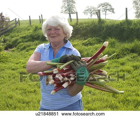 Stock Image - Woman with Rhubarb. Fotosearch