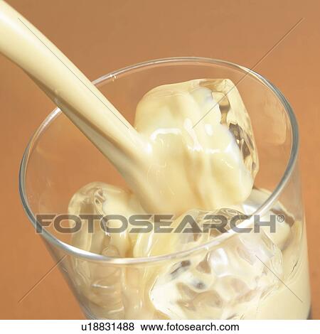 Baileys View Large Photo Image Stock Photo - Baileys. Fotosearch