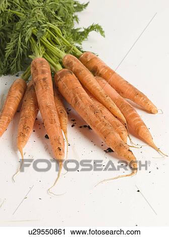 Bunch of Carrots View Large Photo Image Stock Image - Bunch of Carrots. Fotosearch