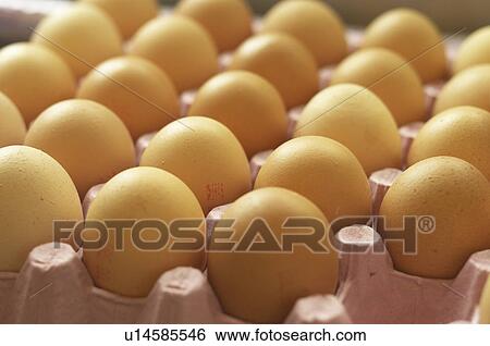 Eggs in tray View Large Photo Image Stock Photograph - Eggs in tray. Fotosearch