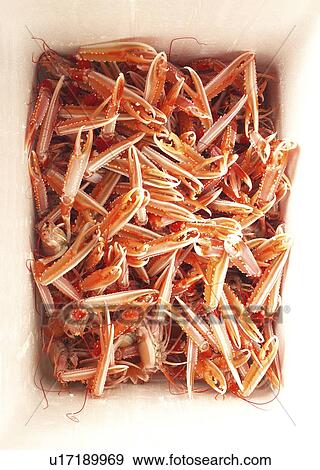 Langoustines View Large Photo Image Stock Photo - Langoustines. Fotosearch