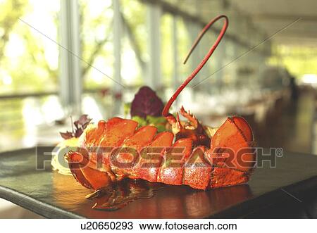 Stock Image - Lobster Tail. Fotosearch