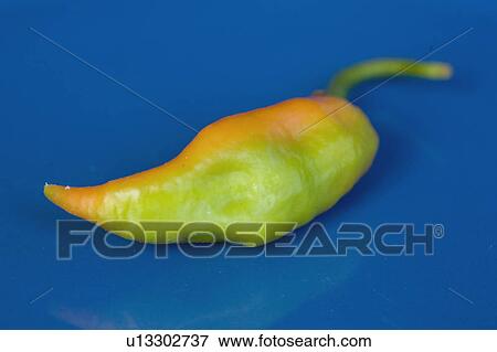 Chilli Pepper View Large Photo Image Stock Photo - Chilli Pepper. Fotosearch