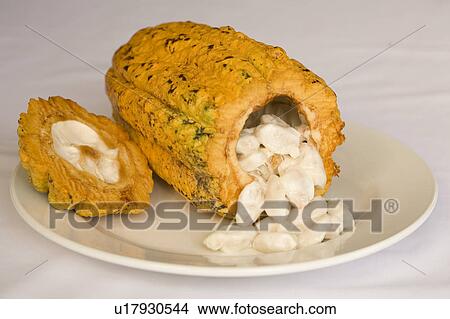 Picture - Cocoa Pod. Fotosearch