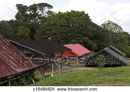 Cocoa Processing Buildings, Storage, Drying etc View Large Photo Image Picture - Cocoa Processing Buildings, Storage, Drying etc. Fotosearch