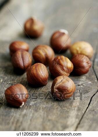 Stock Photo - Hazelnuts. Fotosearch
